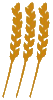 Image 3 epis