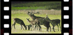 Image Parc Naturel de Boutissaint