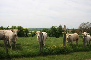 Image alentours4