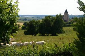 Image alentours1