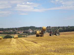 Image alentours3